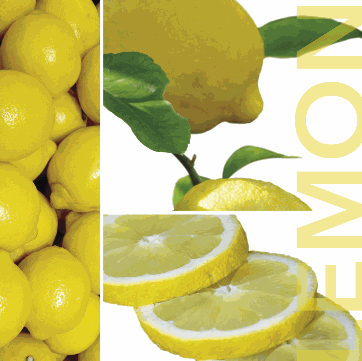 Tischset Früchte aus Kunststoff in Lemon-Gelb mit dekorativem Zitronenmotiv und glatter Oberfläche